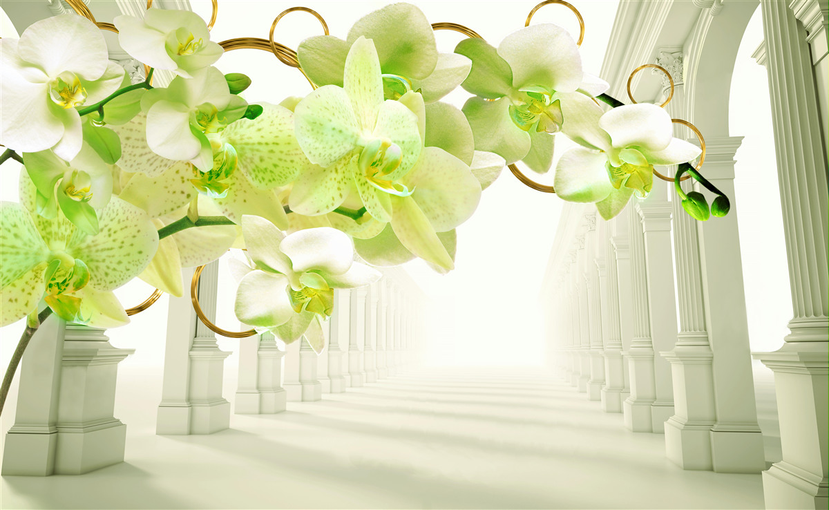 Fototapet orhidee albe și verzi pe stâlpi albi