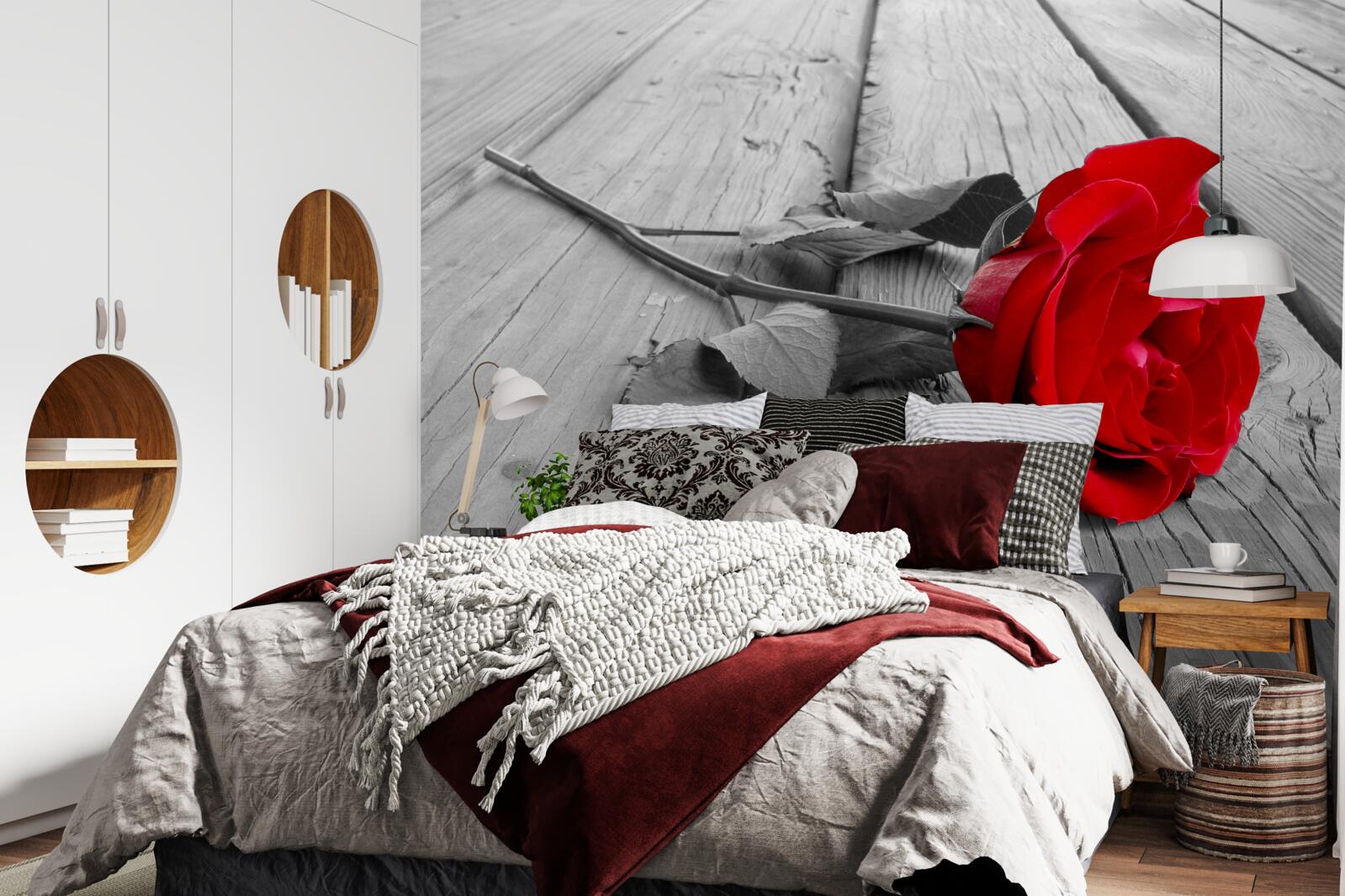 Fototapet un trandafir roșu a înflorit pe un fundal gri