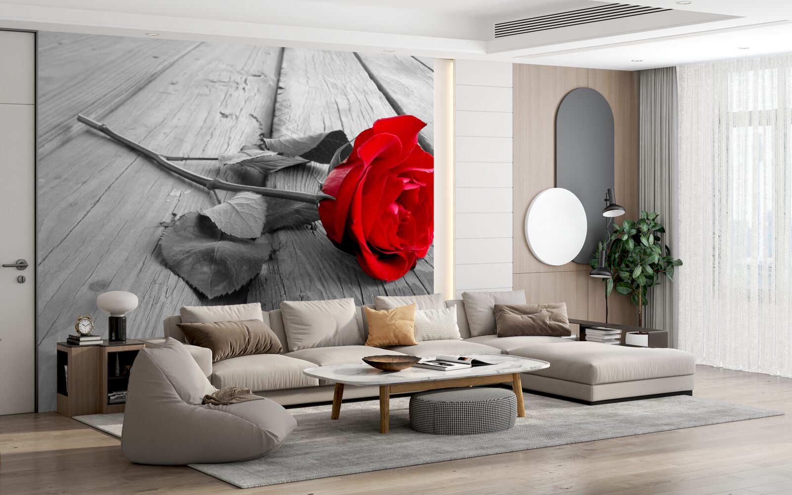 Fototapet un trandafir roșu a înflorit pe un fundal gri