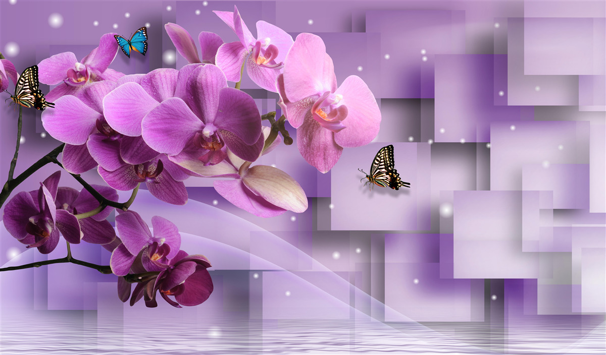 Fototapet compoziție de orhidee și fluturi subțiri