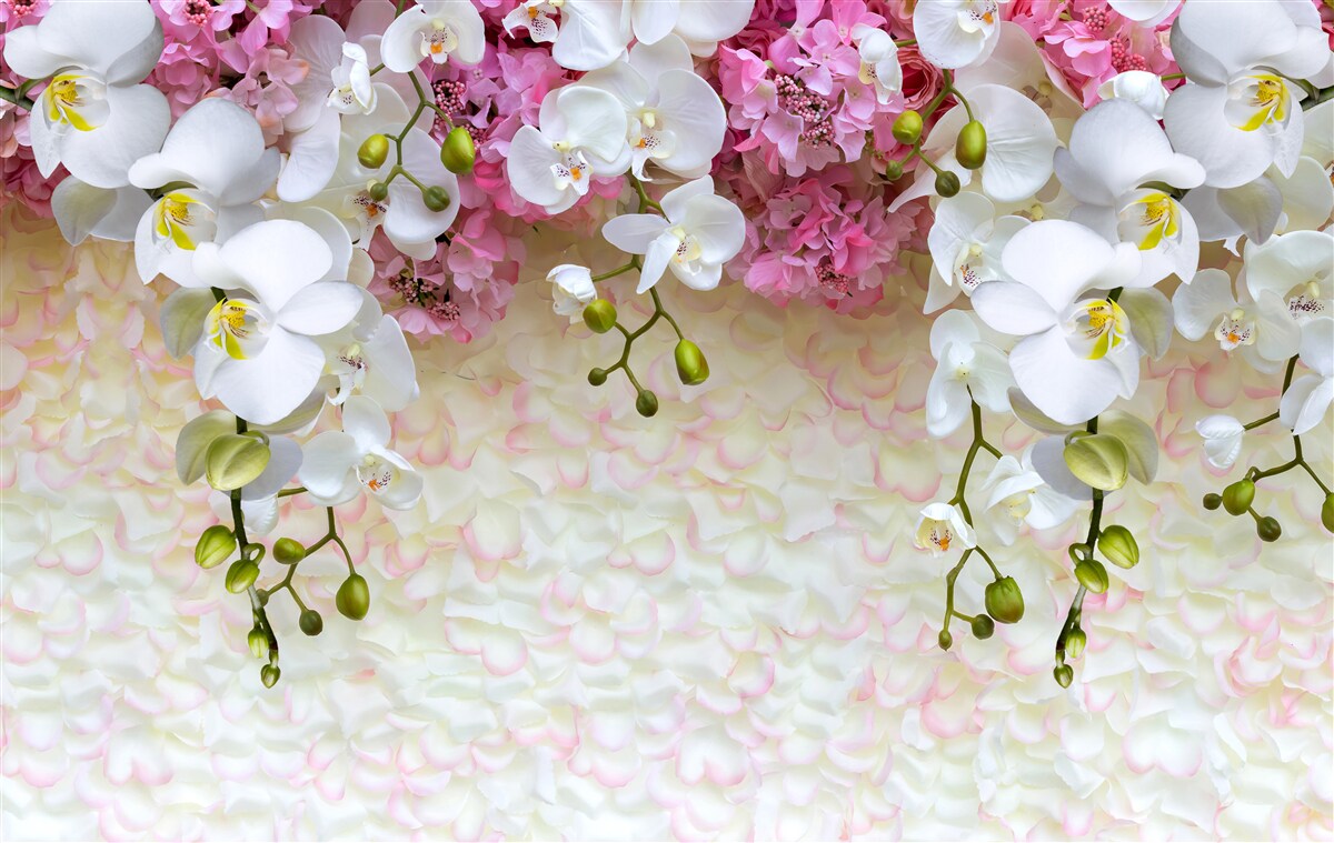 Fototapet ramuri de diferite orhidee coboară