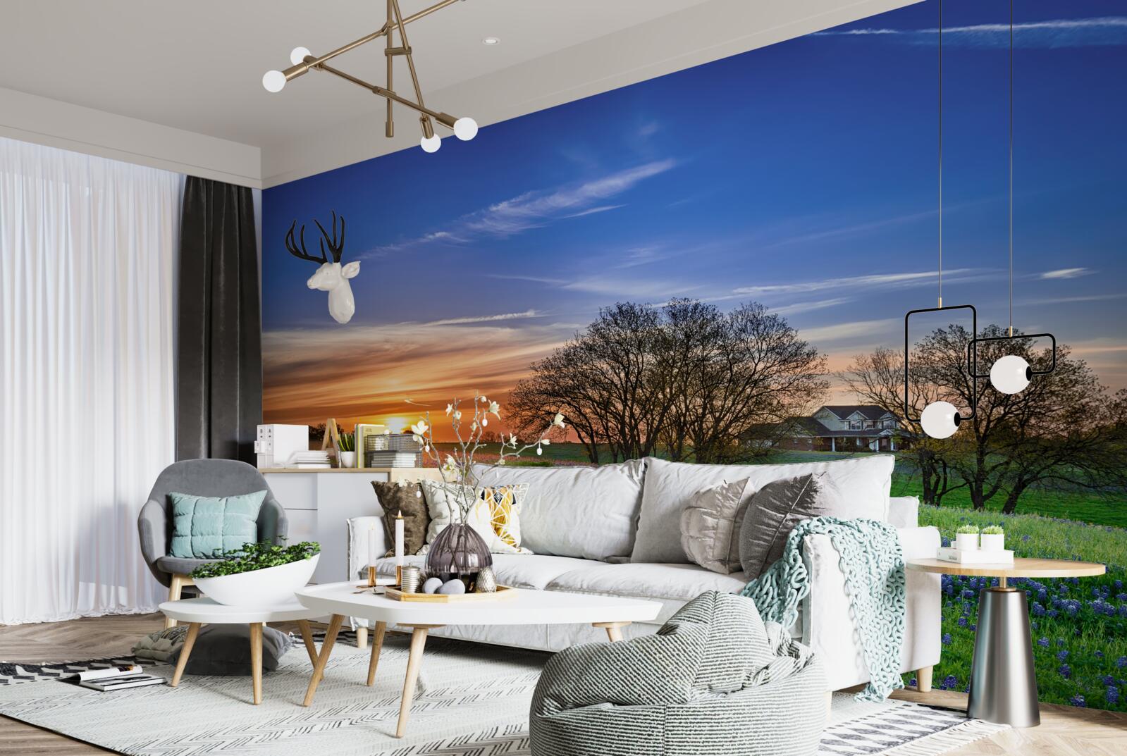 Fototapet soarele apune peste un câmp presărat cu flori