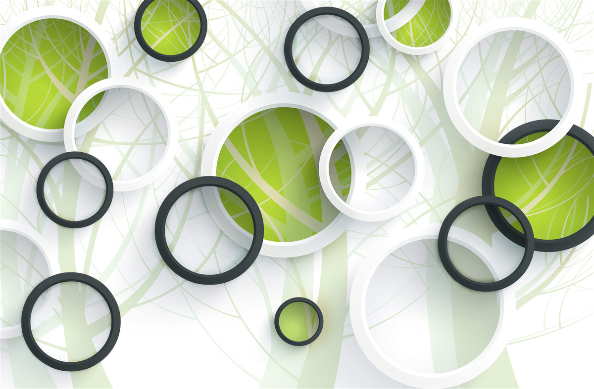 Fototapet pădure densă cu vegetație abundentă și cercuri 3d