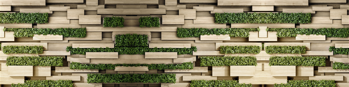 Fototapet plante verzi pe un perete de piatră