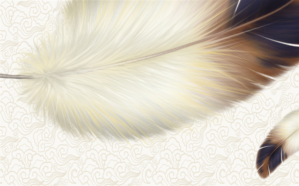 Fototapet penele sunt albe cu margini maro