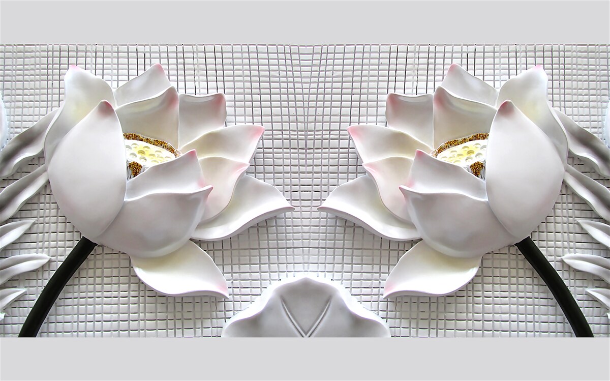 Fototapet cutii de lotus alb