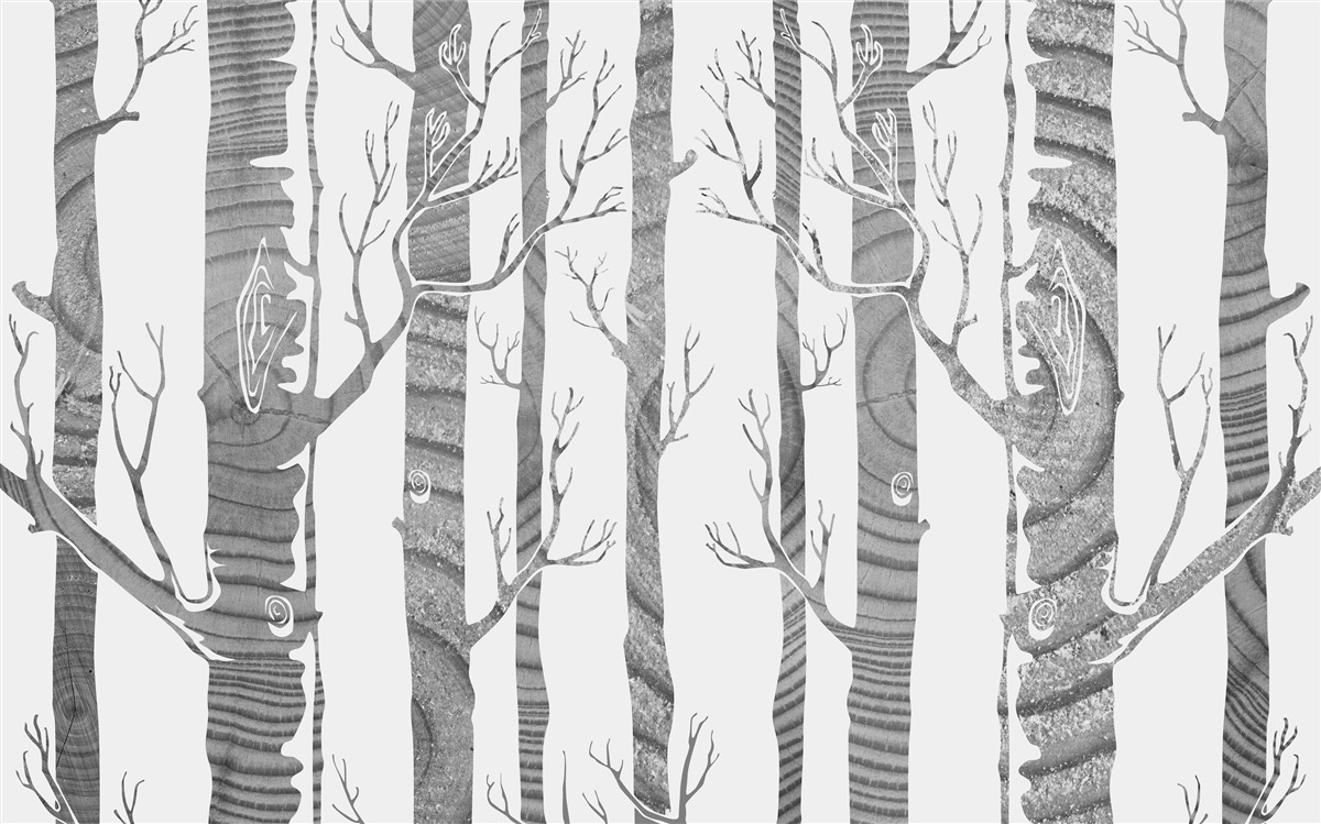 Fototapet Birch Grove neobișnuit