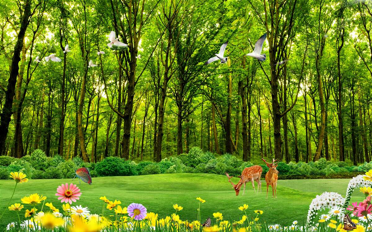 Fototapet în pădurea verde căprioarele sunt la păscut