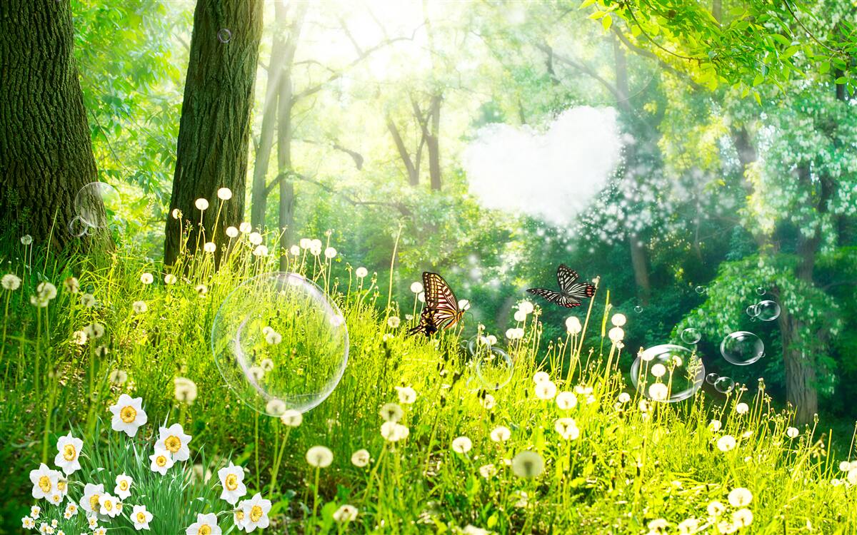 Fototapet Molii pe o pajiște verde