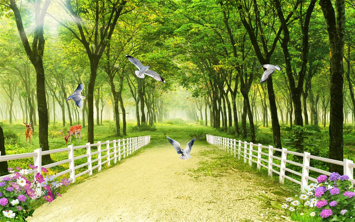 Fototapet în pădure, porumbeii întâmpină razele calde ale soarelui