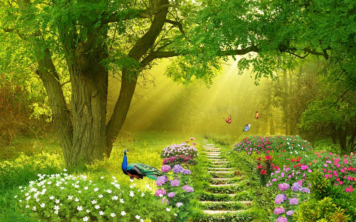 Fototapet razele soarelui încălzesc o pădure învăluită în ceața nopții