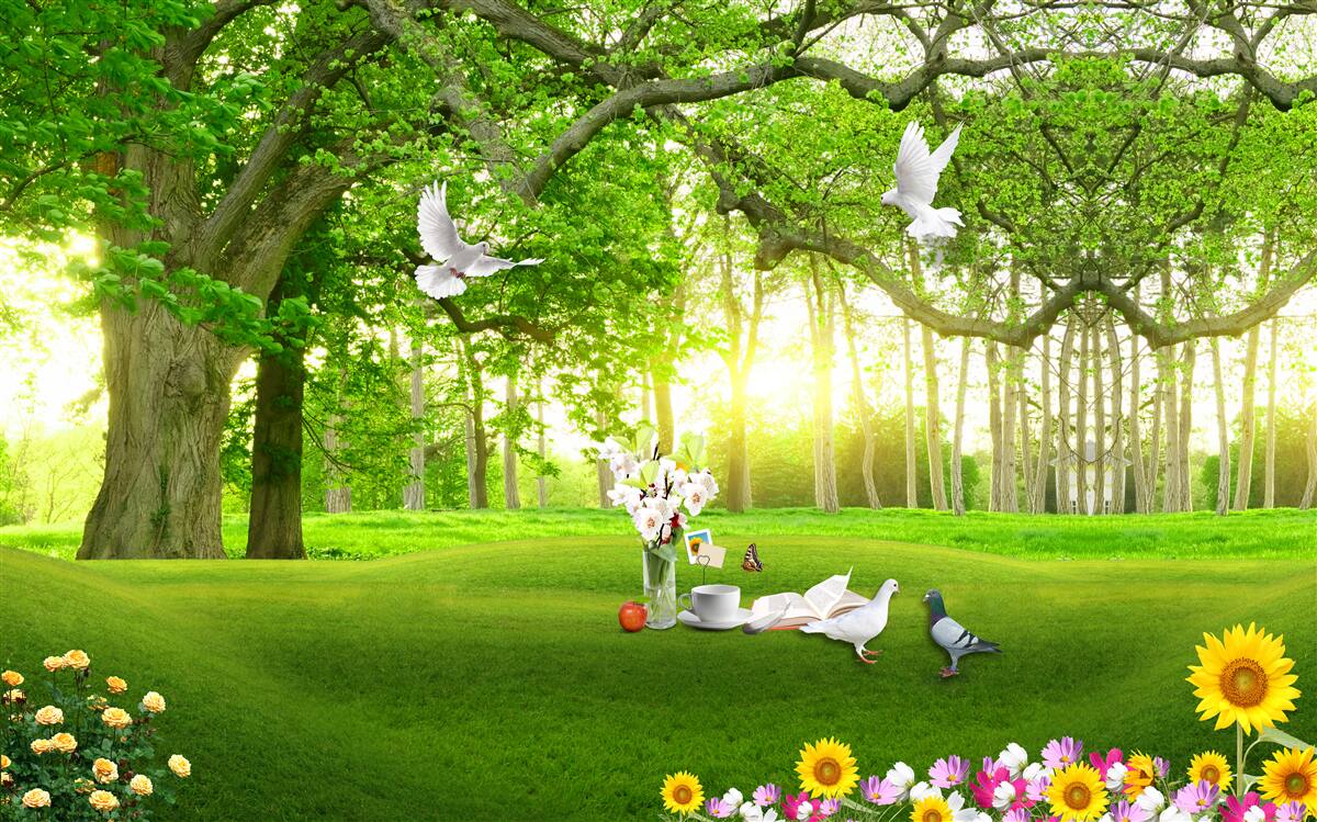 Fototapet gazon verde liniștit în zori