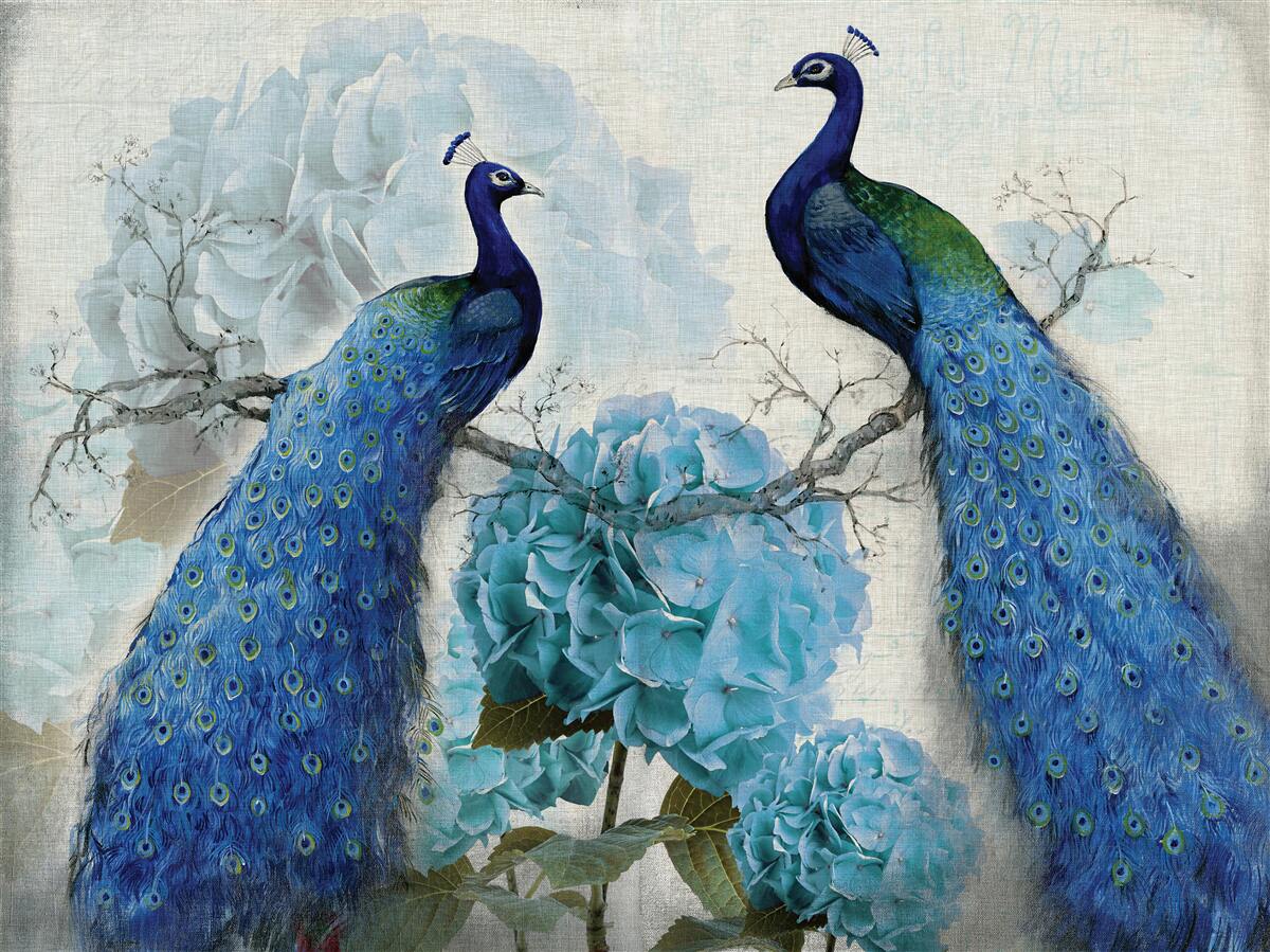 Fototapet păuni cu pene albastre pe flori de aceeași nuanță