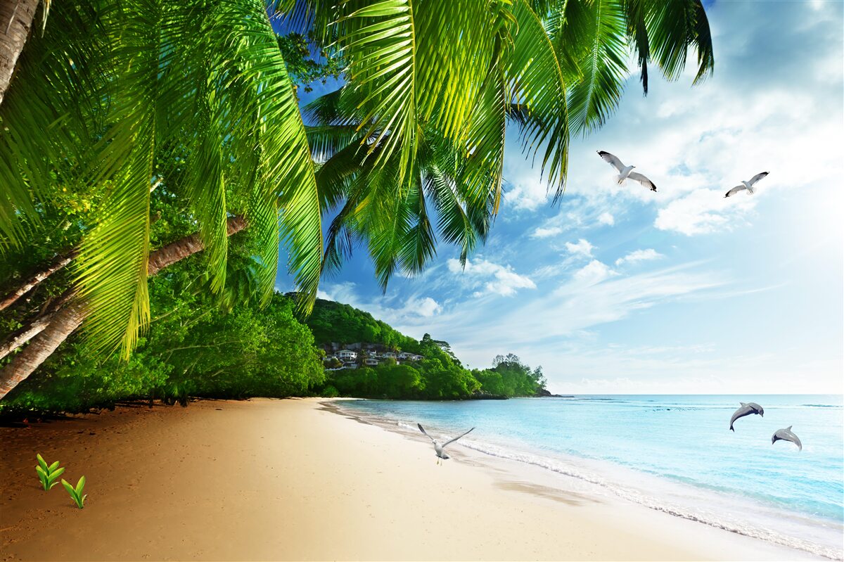 Fototapet insulă nelocuită cu o plajă de nisip