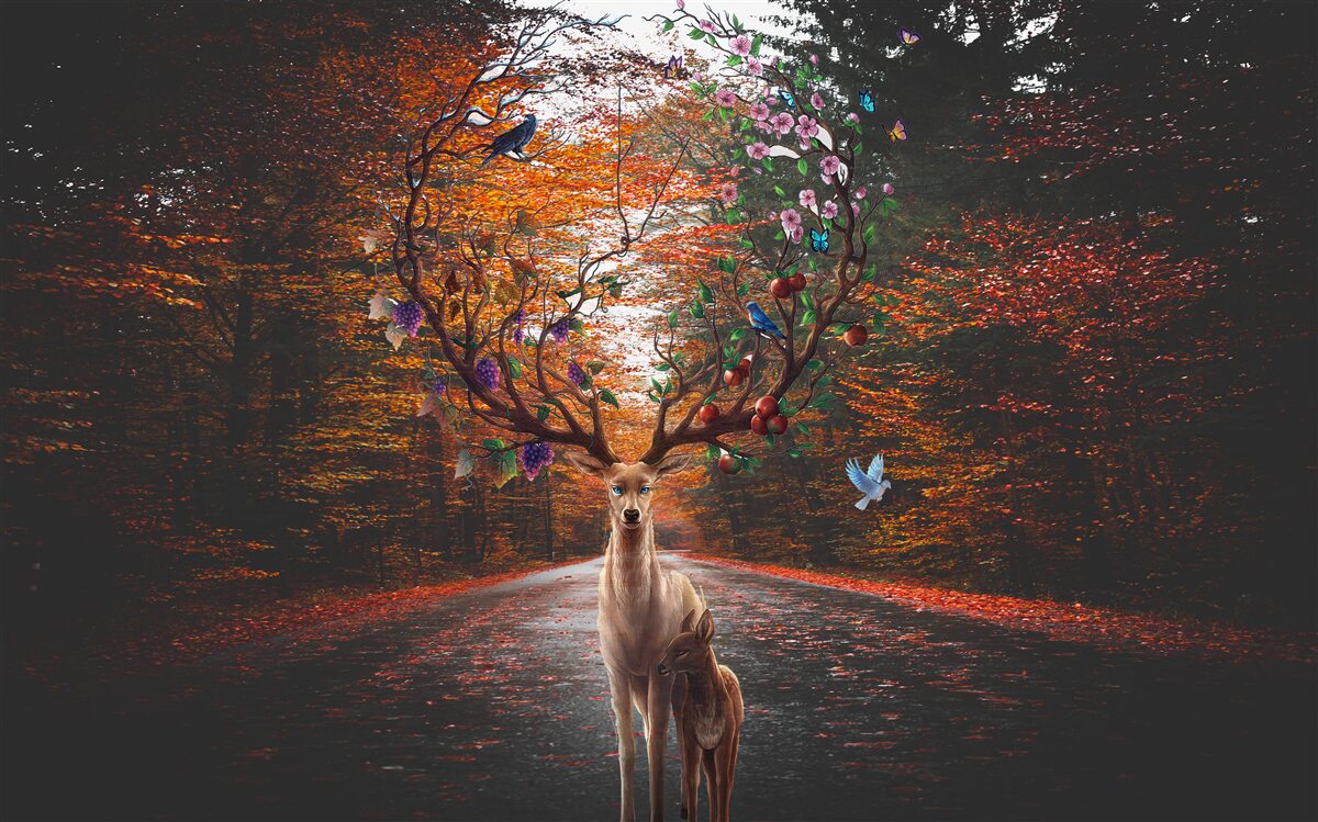 Fototapet perioada de toamnă și coarnele perfecte ale căprioarelor adulte