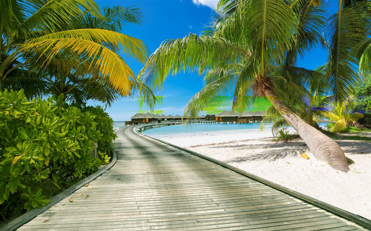 Fototapet Calea către cabanele de pe malul mării