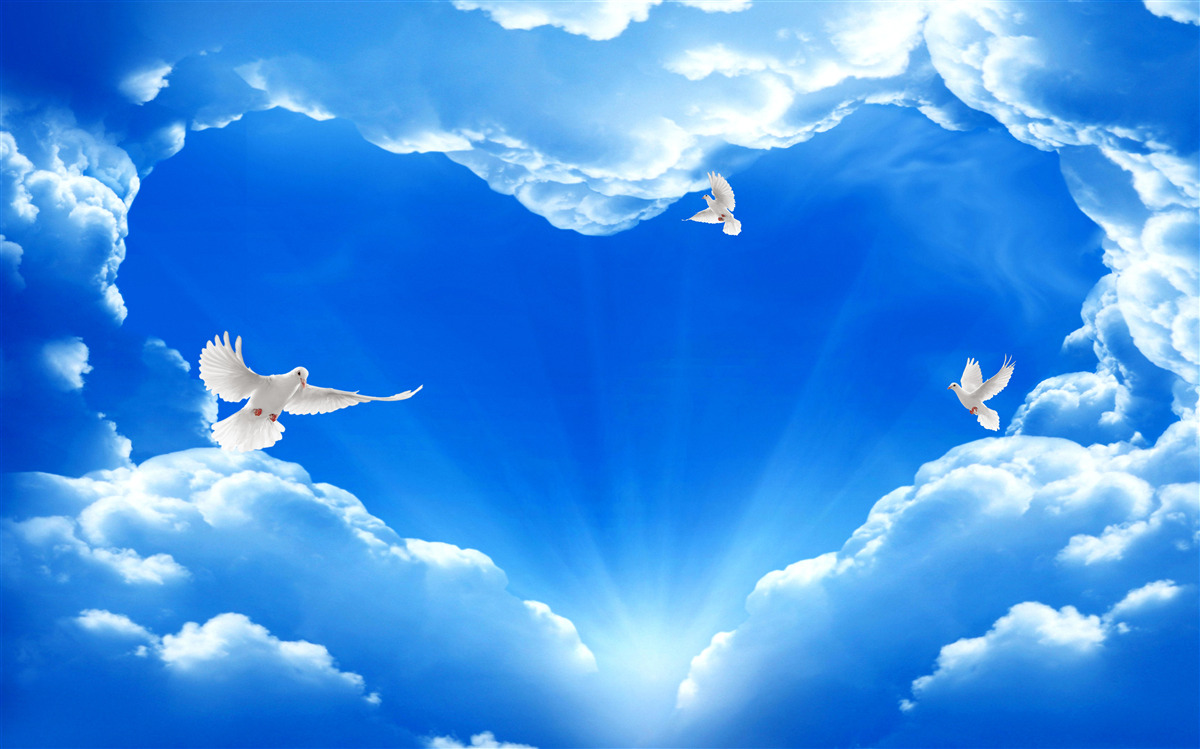 Fototapet păsări albastre se înalță pe cer