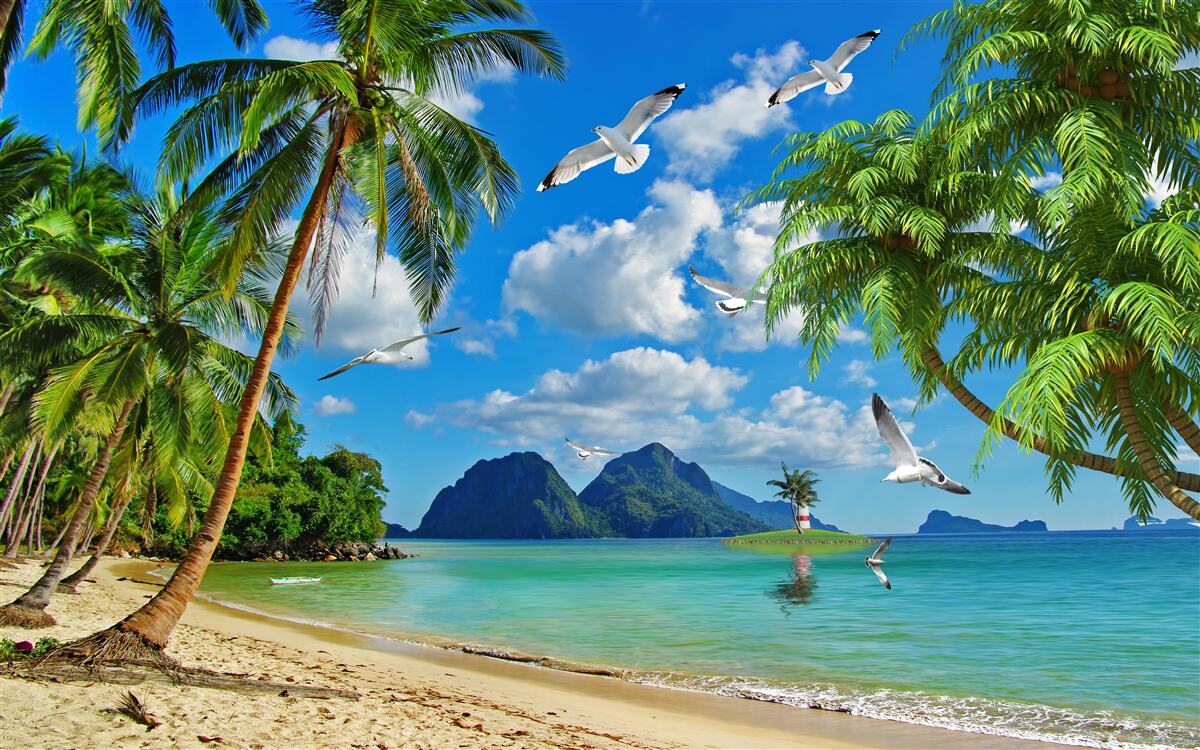 Fototapet paradis la tropice