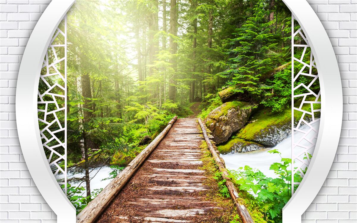 Fototapet Poteca de munte care trece printr-o pădure densă