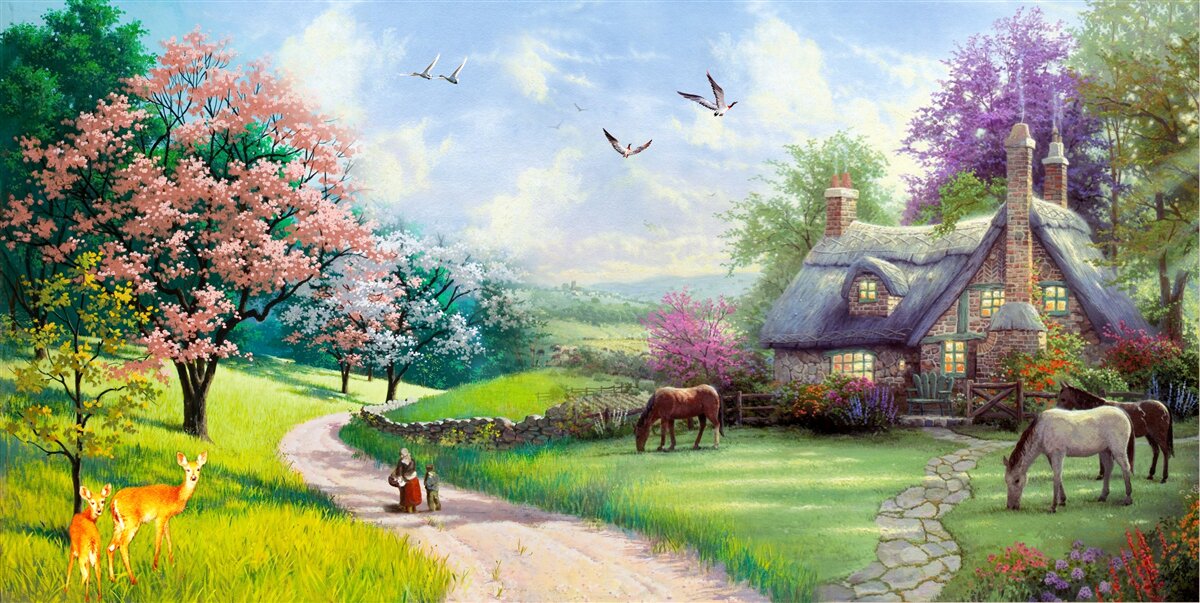 Fototapet casă de vară izolată în pădure