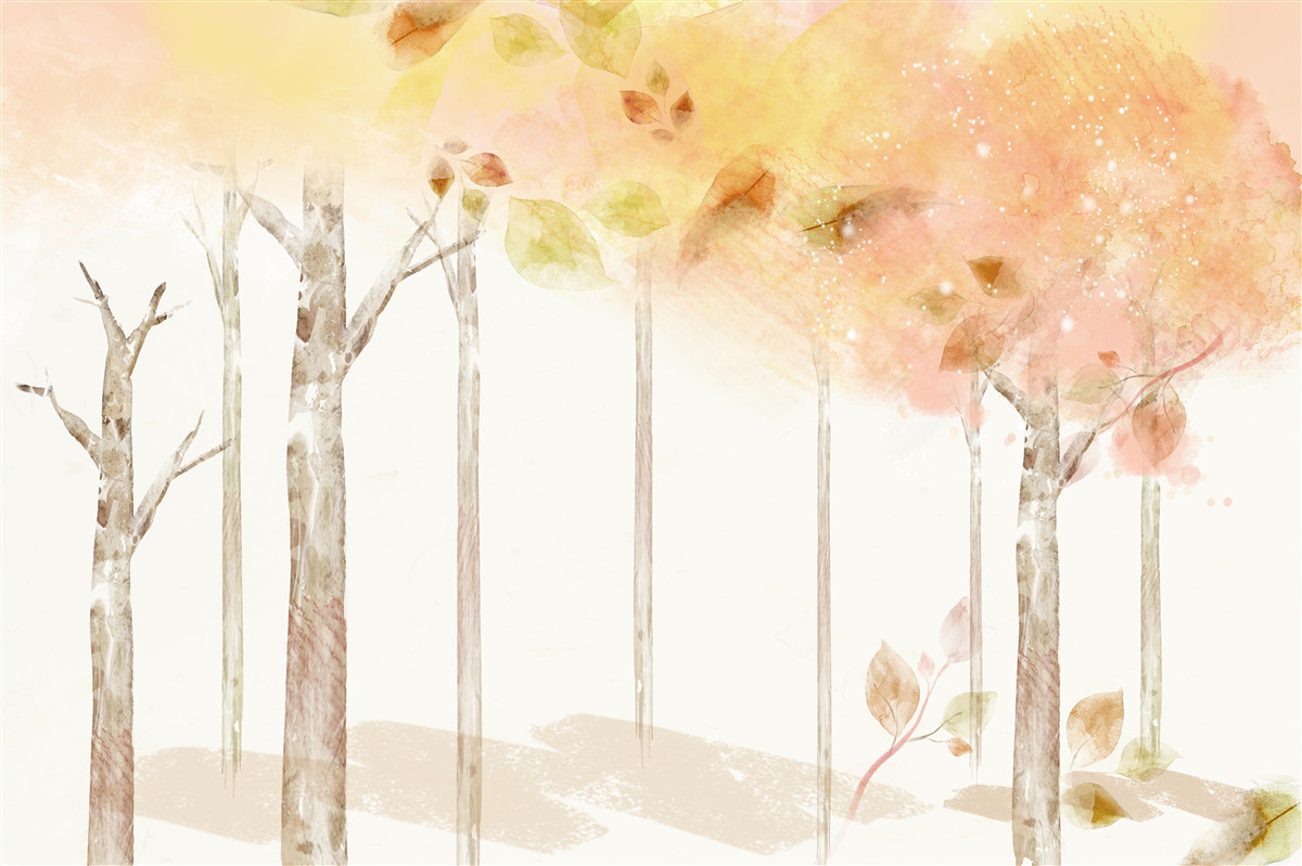 Fototapet copacii își pierd frunzele toamna