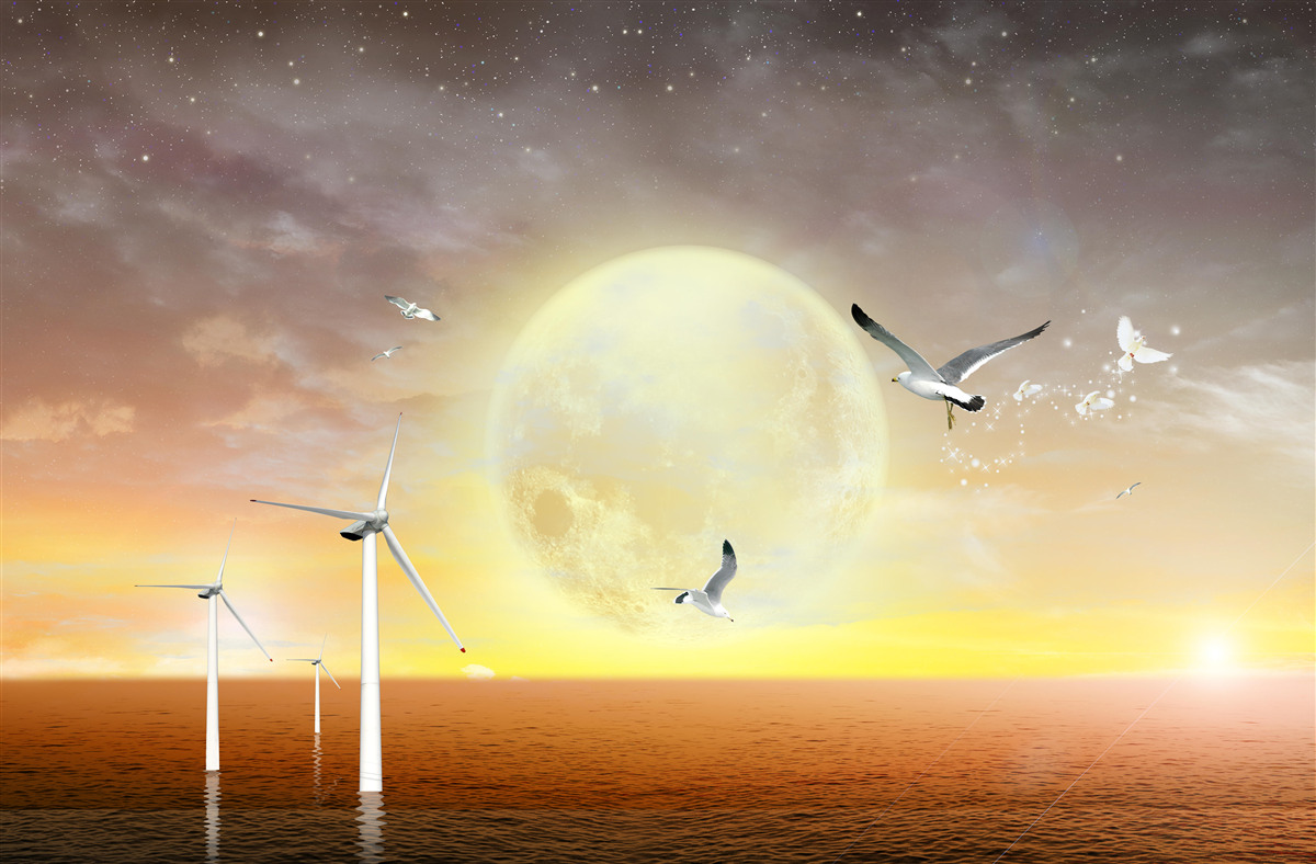 Fototapet apusul de soare pe mare este însoțit de strigătele pescărușilor