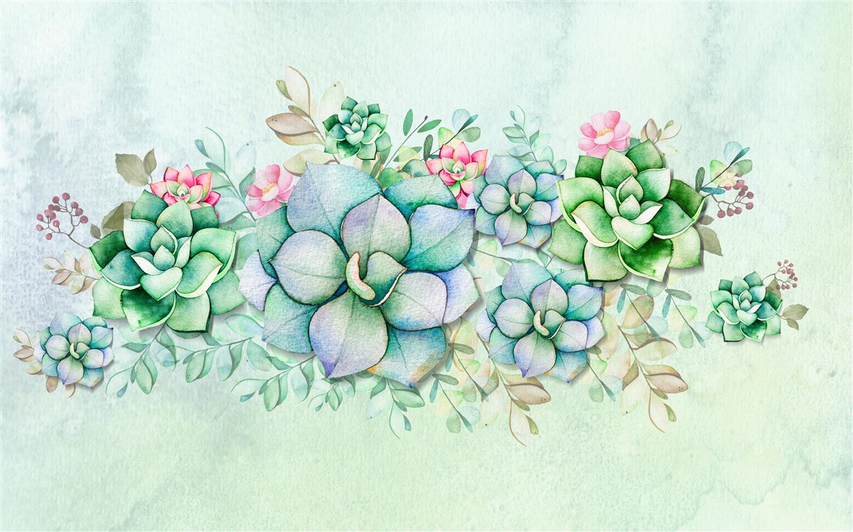 Fototapet set de suculente verzi