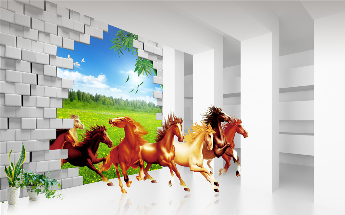 Fototapet reprezentanți ai diferitelor rase de cai se grăbesc să iasă de pe pajiște