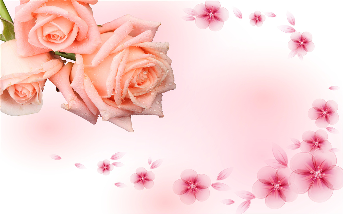 Fototapet flori roz pe un fundal de aceeași culoare