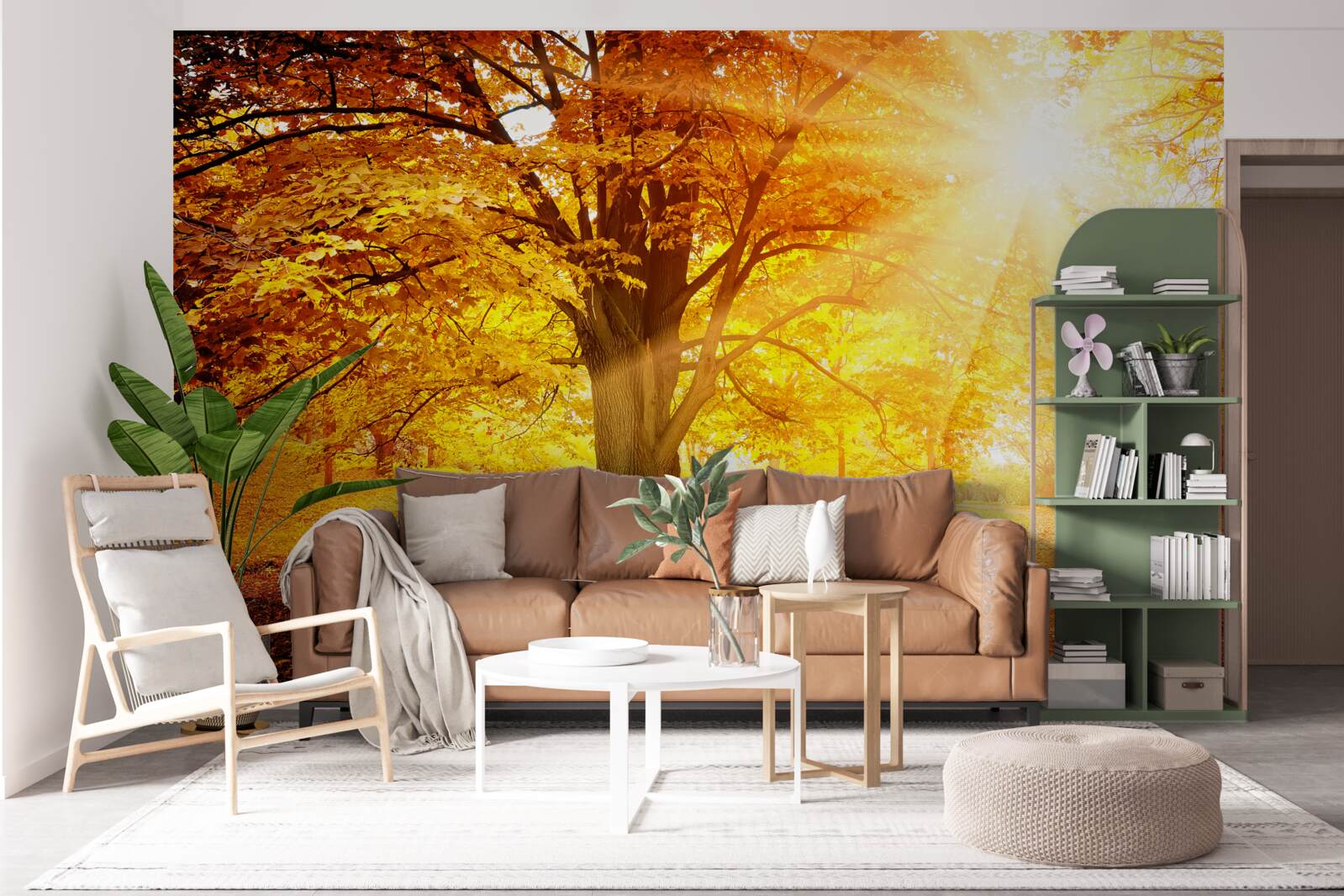 Fototapet lumina puternică a soarelui pătrunde în ceața de toamnă a pădurii