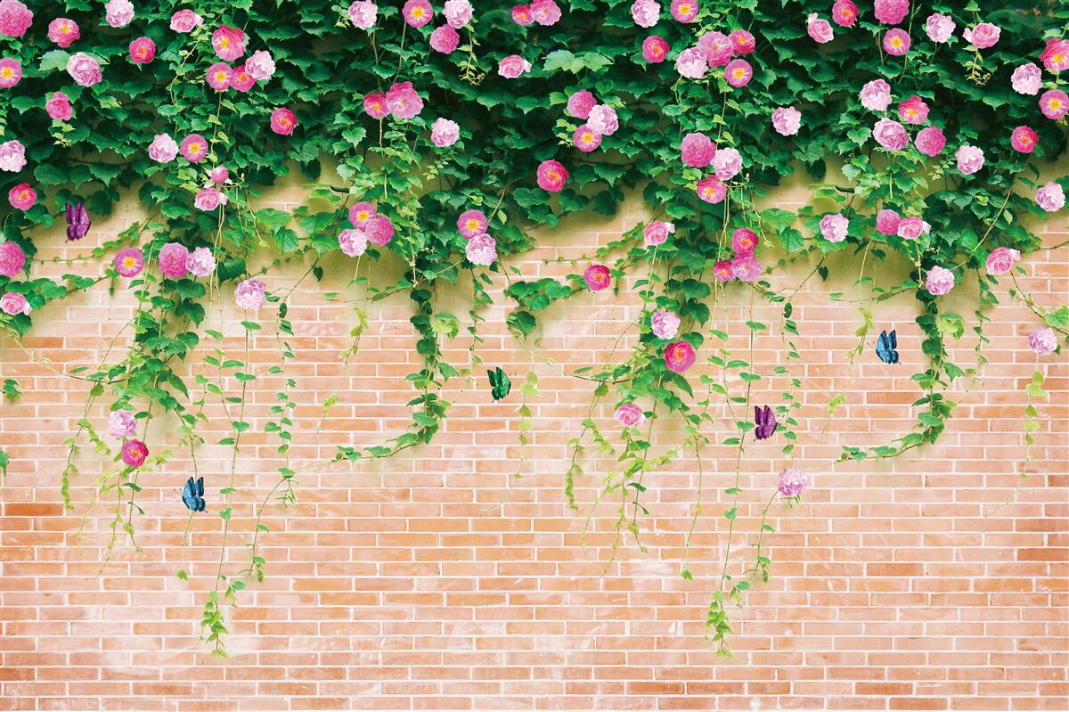 Fototapet trandafiri roz moale pe un perete de cărămidă