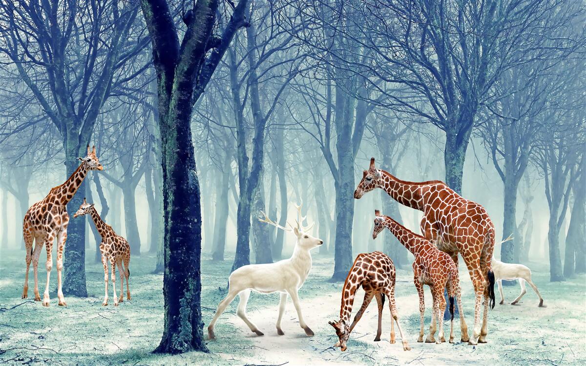 Fototapet Girafele își fac un nou prieten