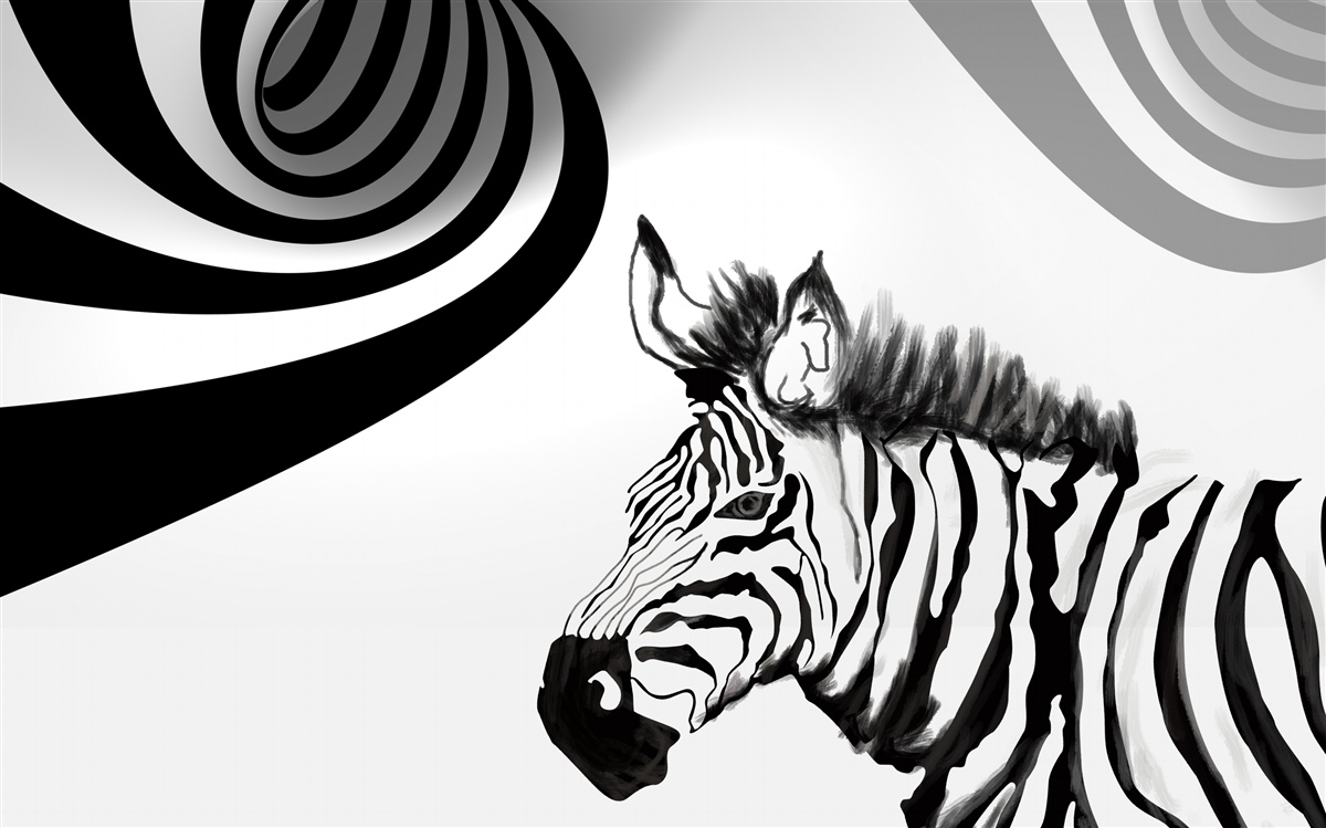 Fototapet zebră albă și neagră în stare de așteptare