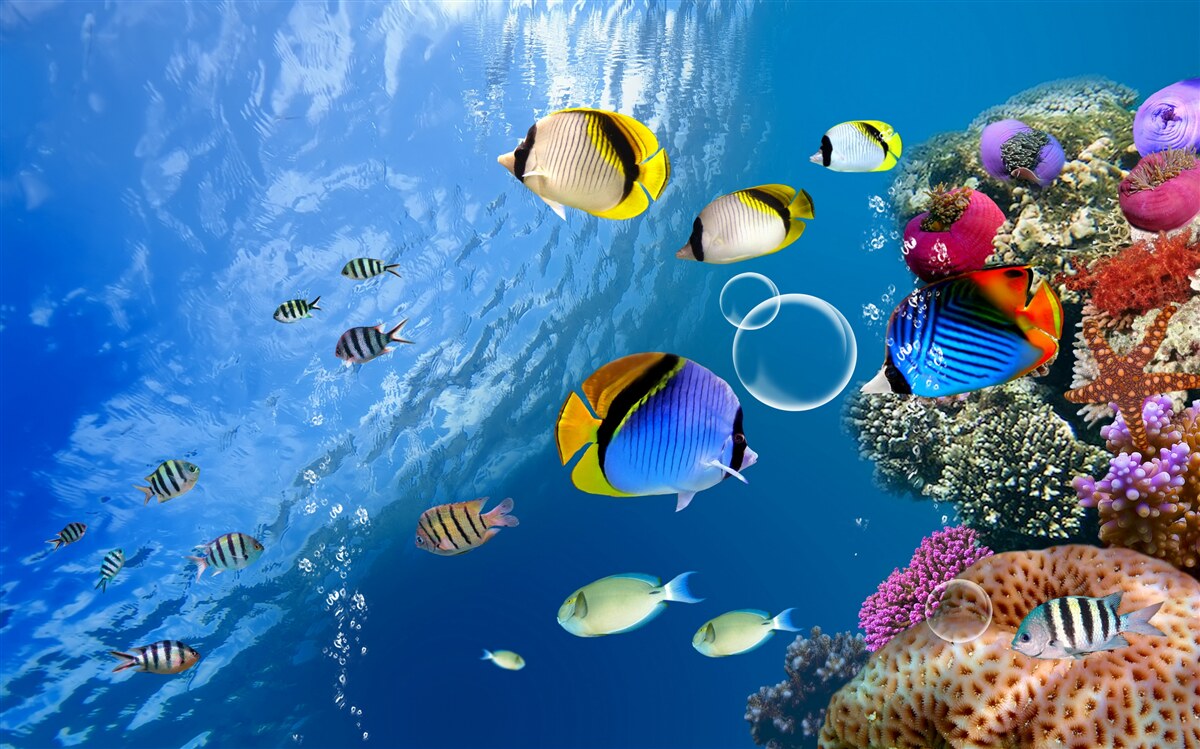 Fototapet pește strălucitor în apă calmă