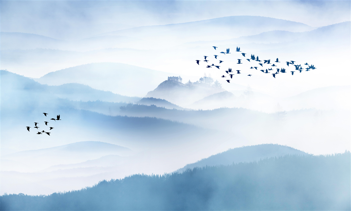 Fototapet grupuri de păsări se ridică deasupra vârfurilor cețoase