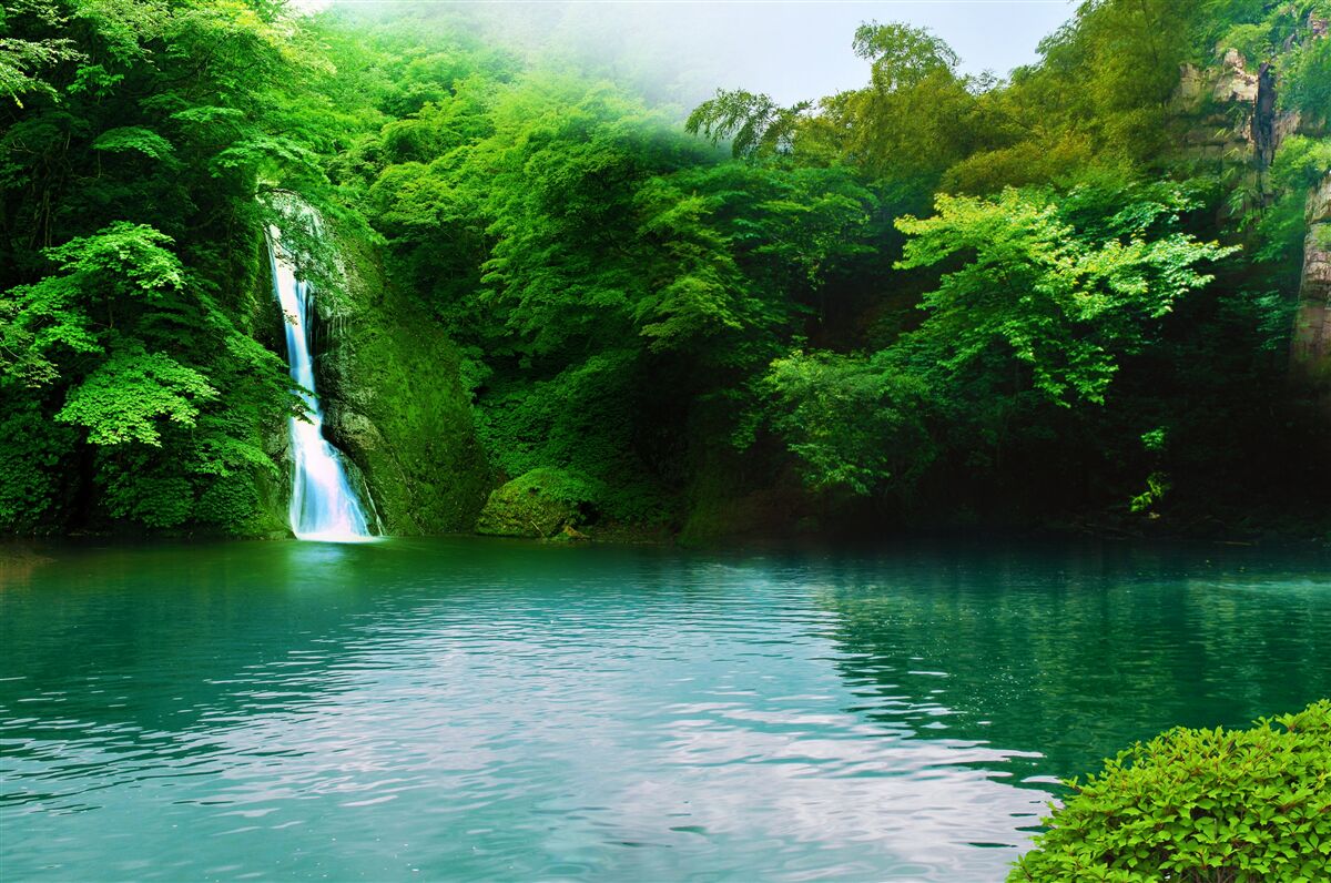 Fototapet cascadă de pădure care curge de pe un munte înalt