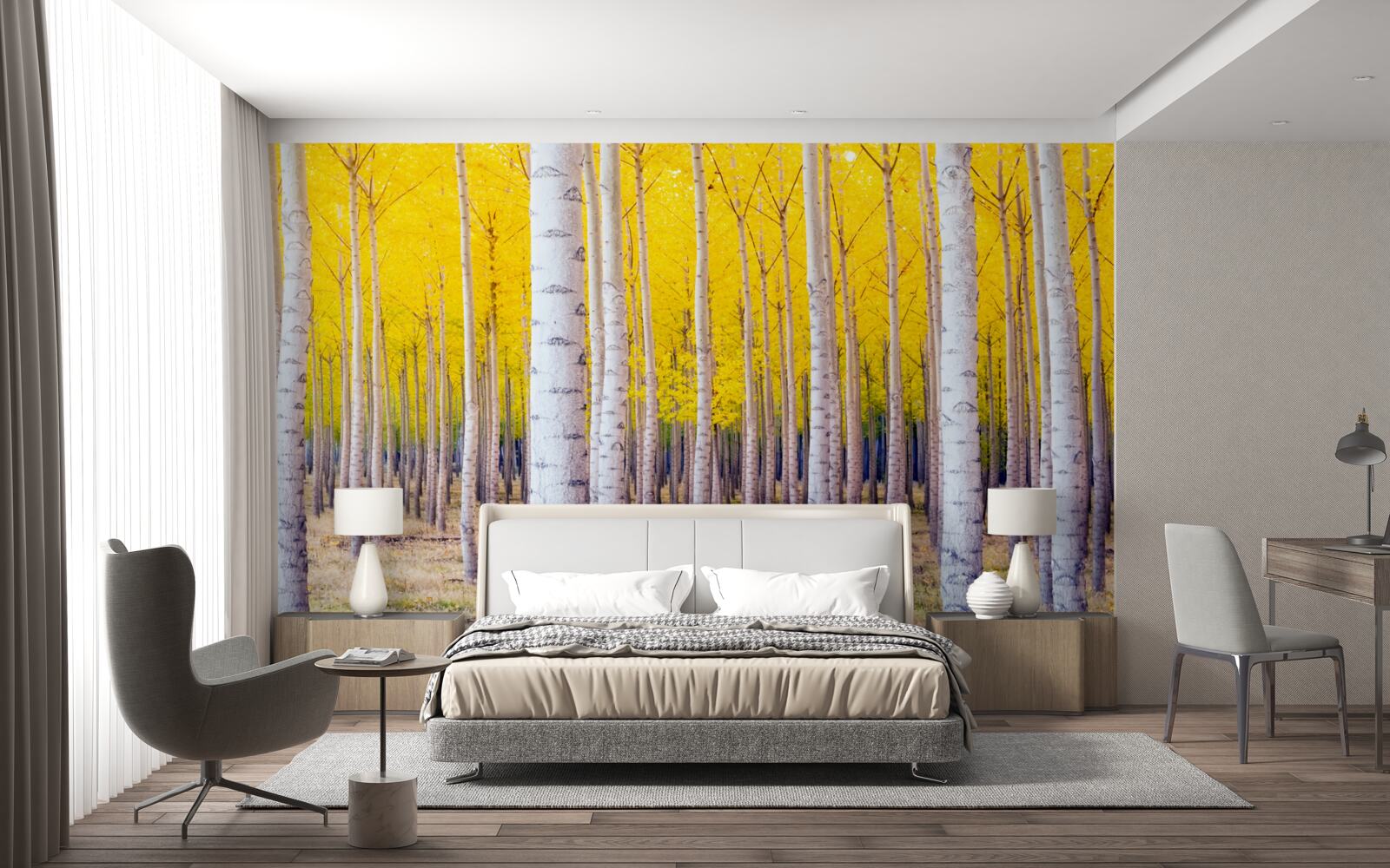 Fototapet culori galbene strălucitoare se aprind în pădurea de mesteceni