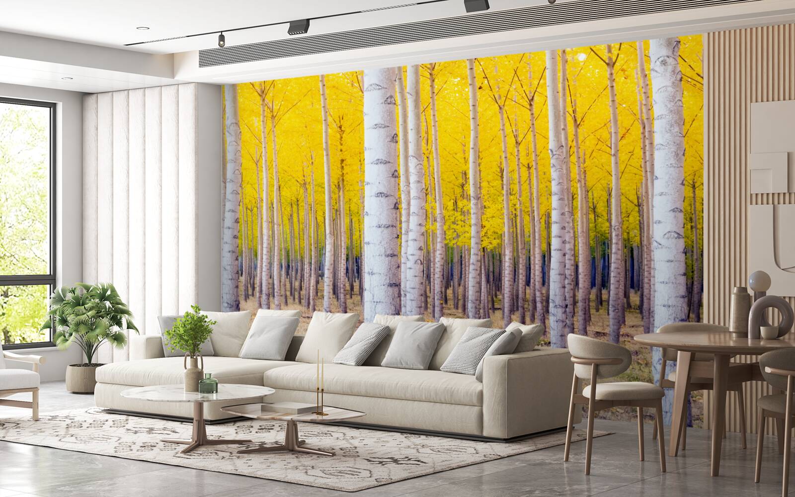 Fototapet culori galbene strălucitoare se aprind în pădurea de mesteceni