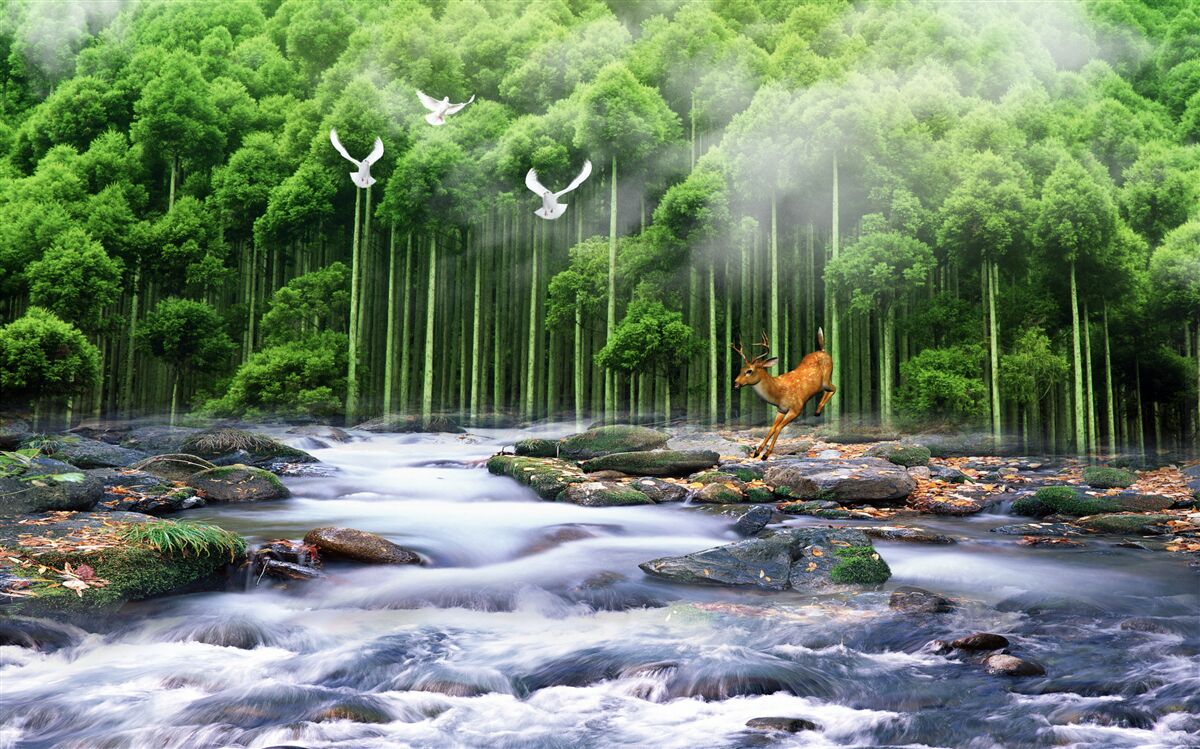 Fototapet natura pădurii și cascade