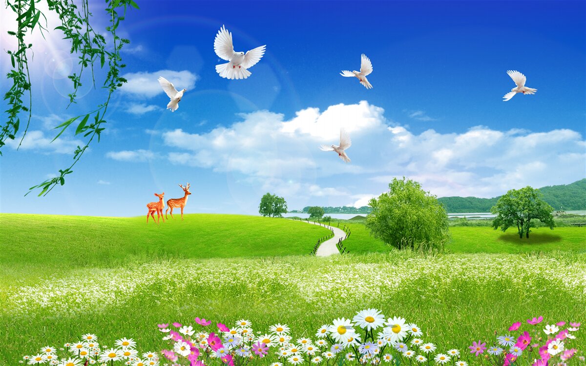 Fototapet două căprioare în zonele verzi