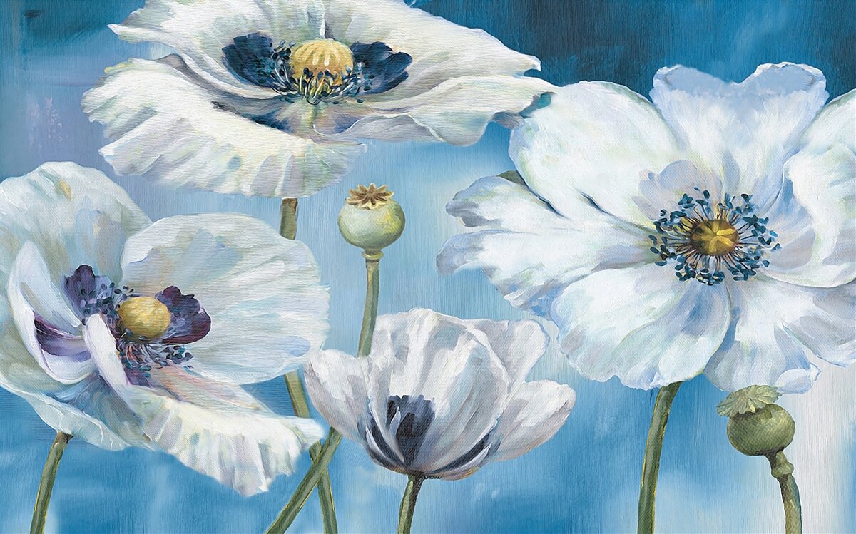 Fototapet maci albi uriași