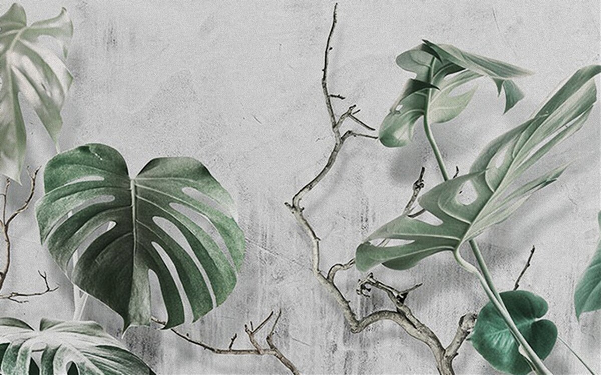 Fototapet frunzele verzi de monstera sunt mari