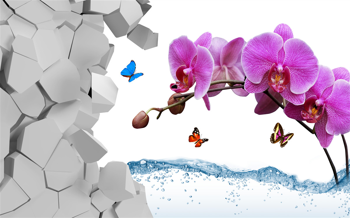 Fototapet orhidee mov și fluturi pe o ramură