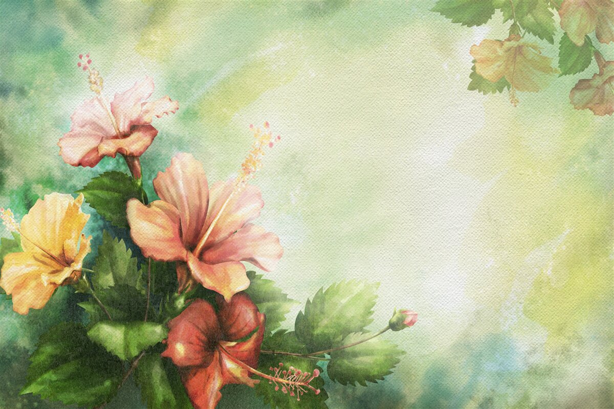 Fototapet plante frumoase în acuarelă