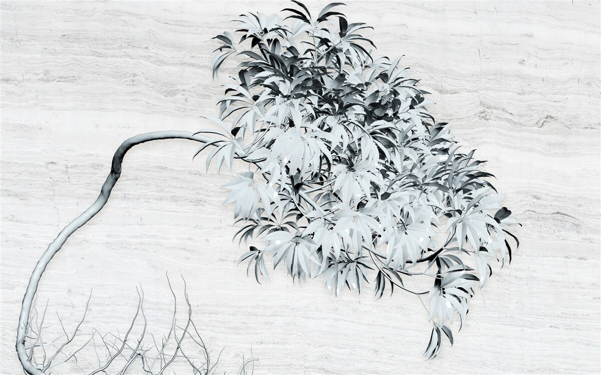 Fototapet un copac care stă singur în vânt