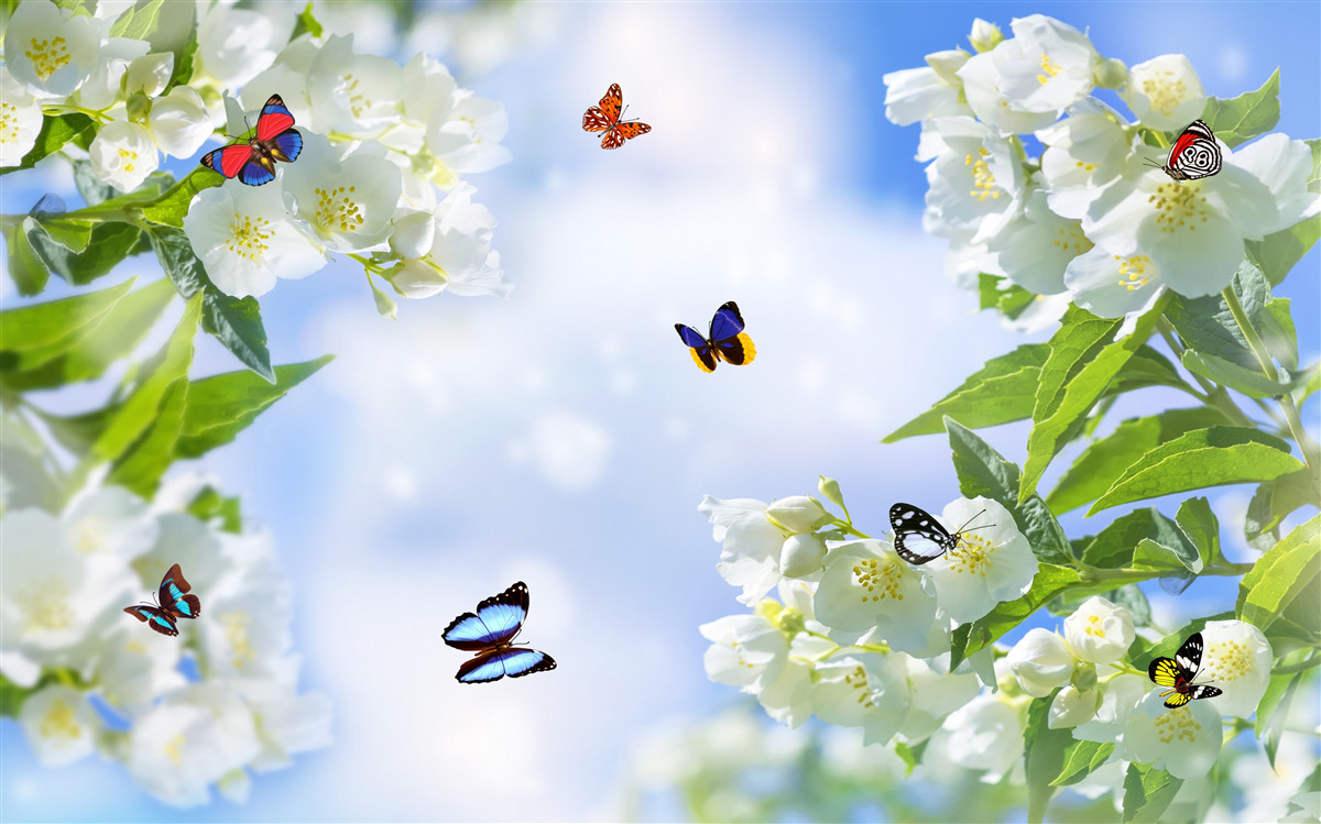 Fototapet fluturi multicolori și flori albe ca zăpada