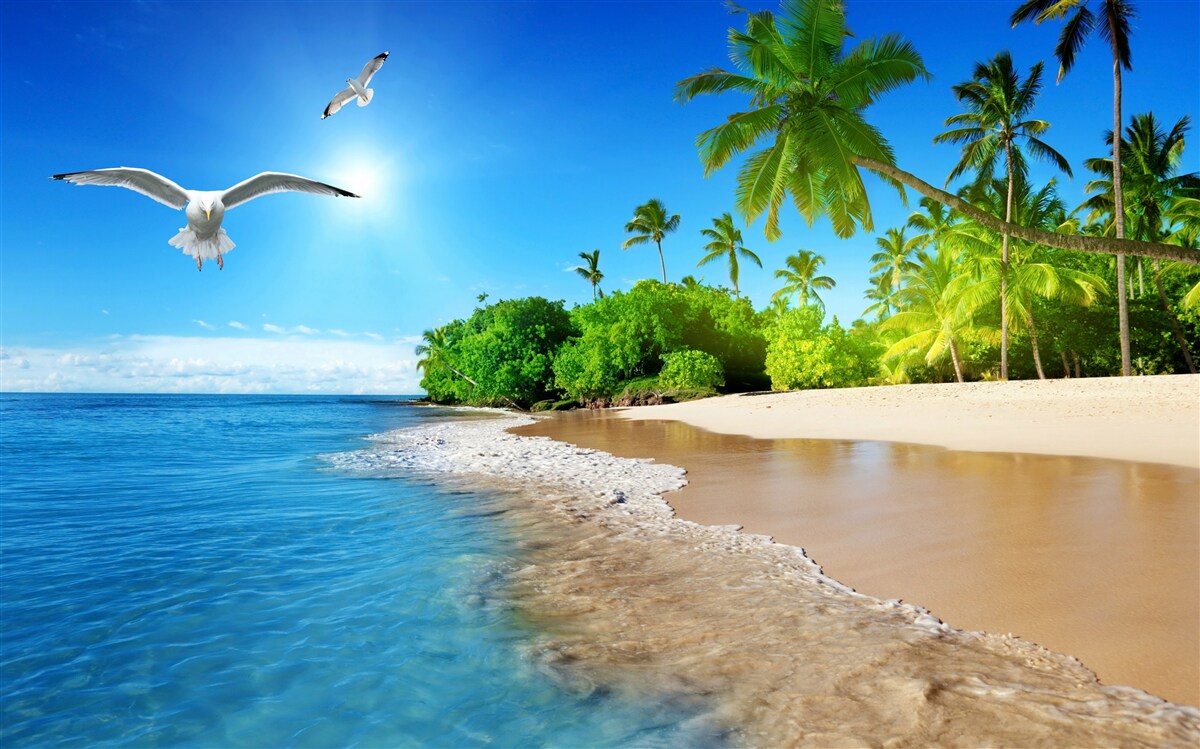 Fototapet locație idilică lângă ocean