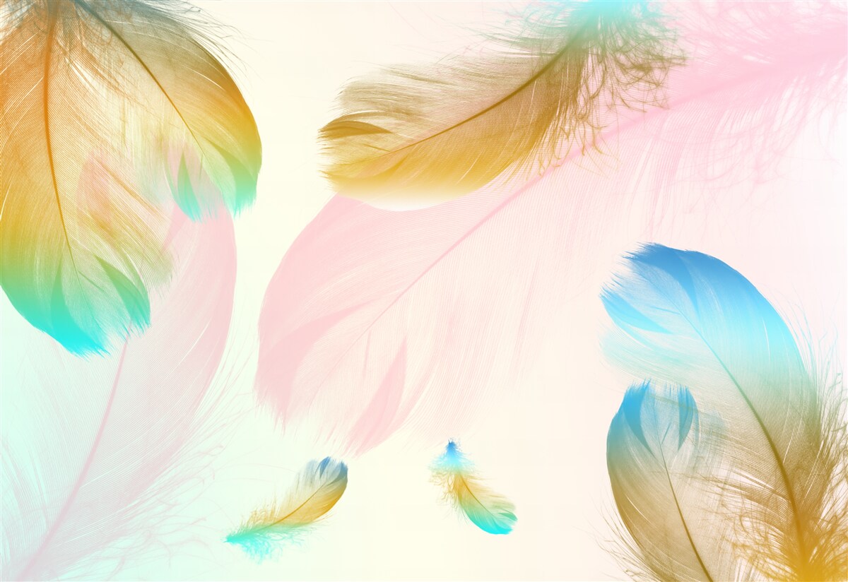 Fototapet pene pastelate