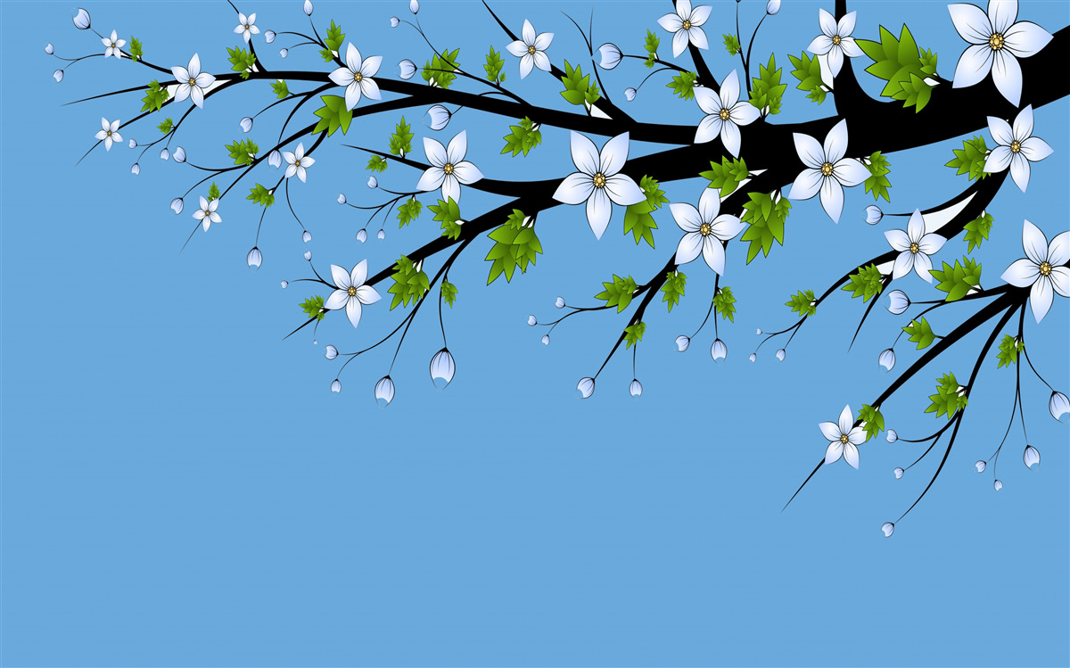 Fototapet o ramură pe care se deschid muguri albi