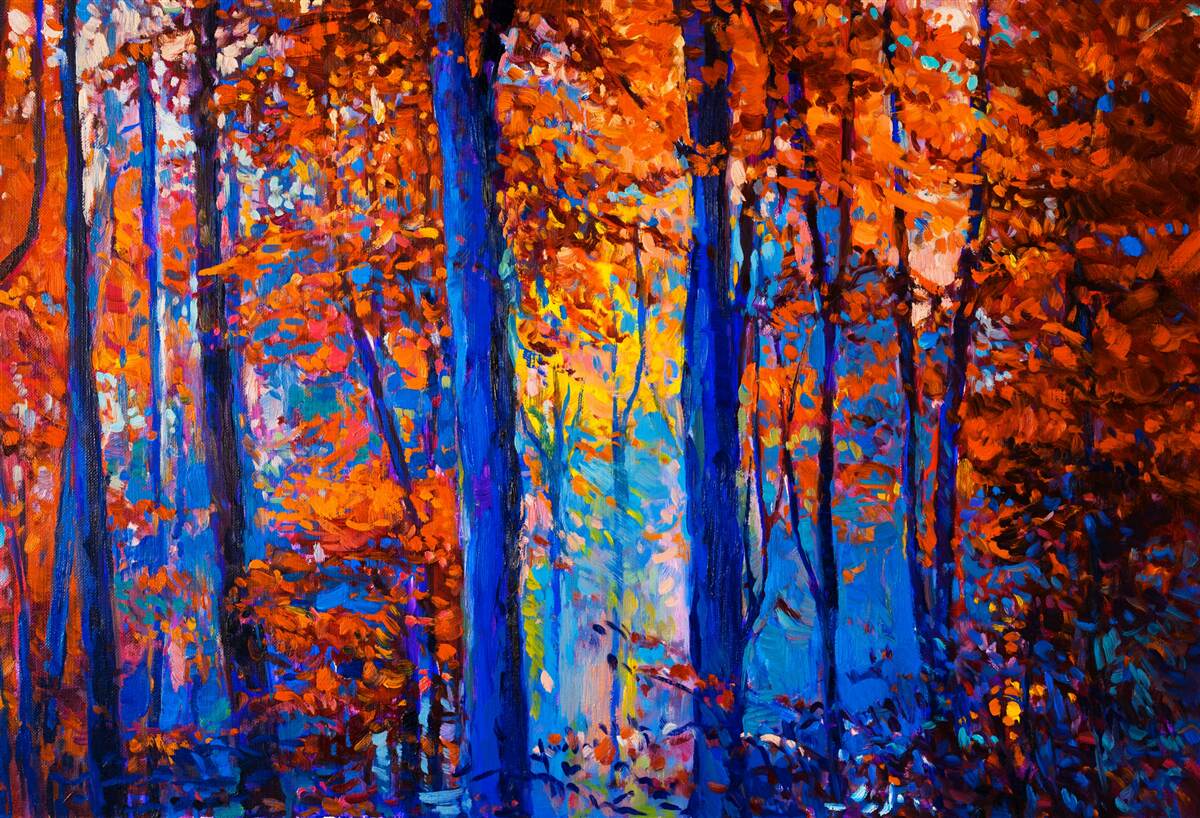 Fototapet contrast de culori în pădurea de toamnă